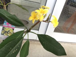 img_0034.jpg