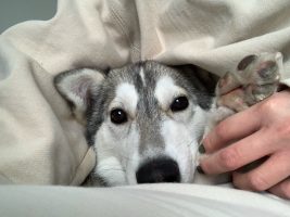 img_2084.jpg