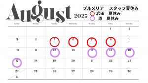 プルメリア スタッフ夏休み